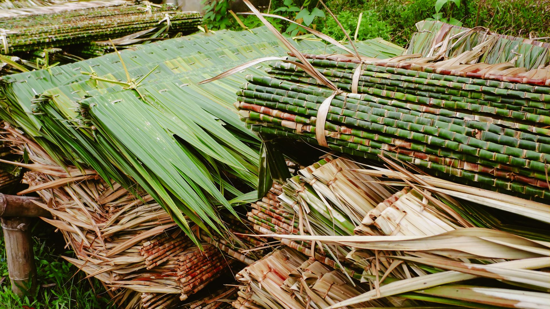 Einblicke ins traditionelle Handwerk: nachhaltige Baukunst mit lokalen Materialien auf Bohol