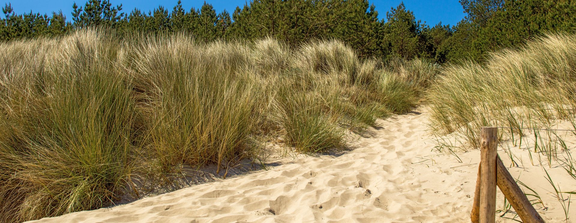 Dunes sur le littoral