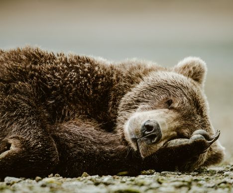 Ganz schön anstrengend