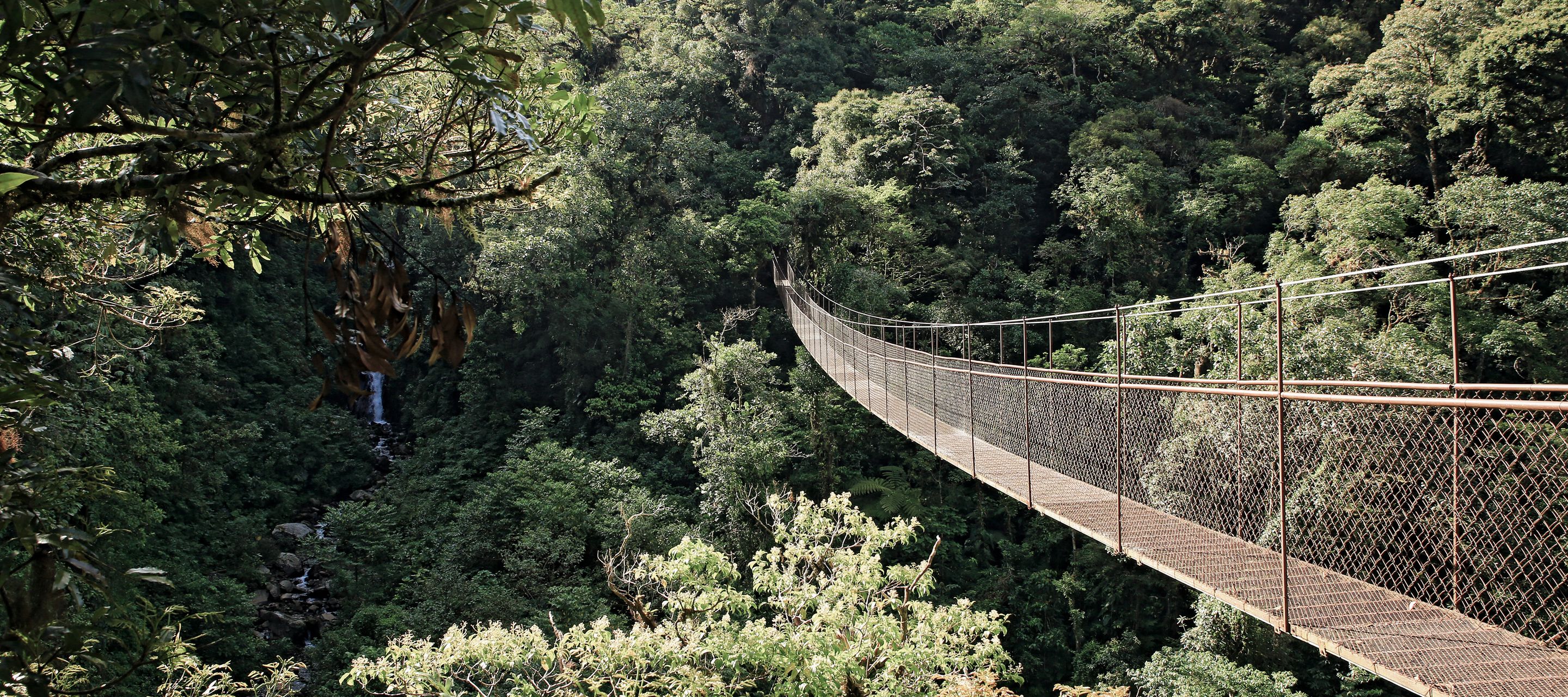 Aus der Vogelperspektive.
