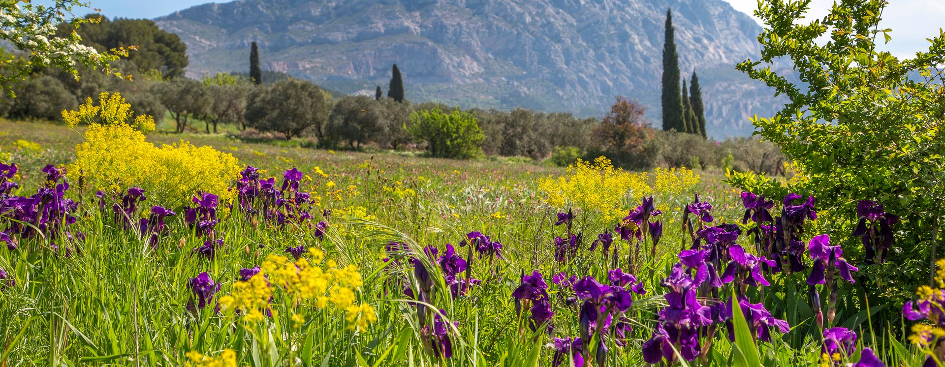 Sainte Victoire / © Sophie Spiteri