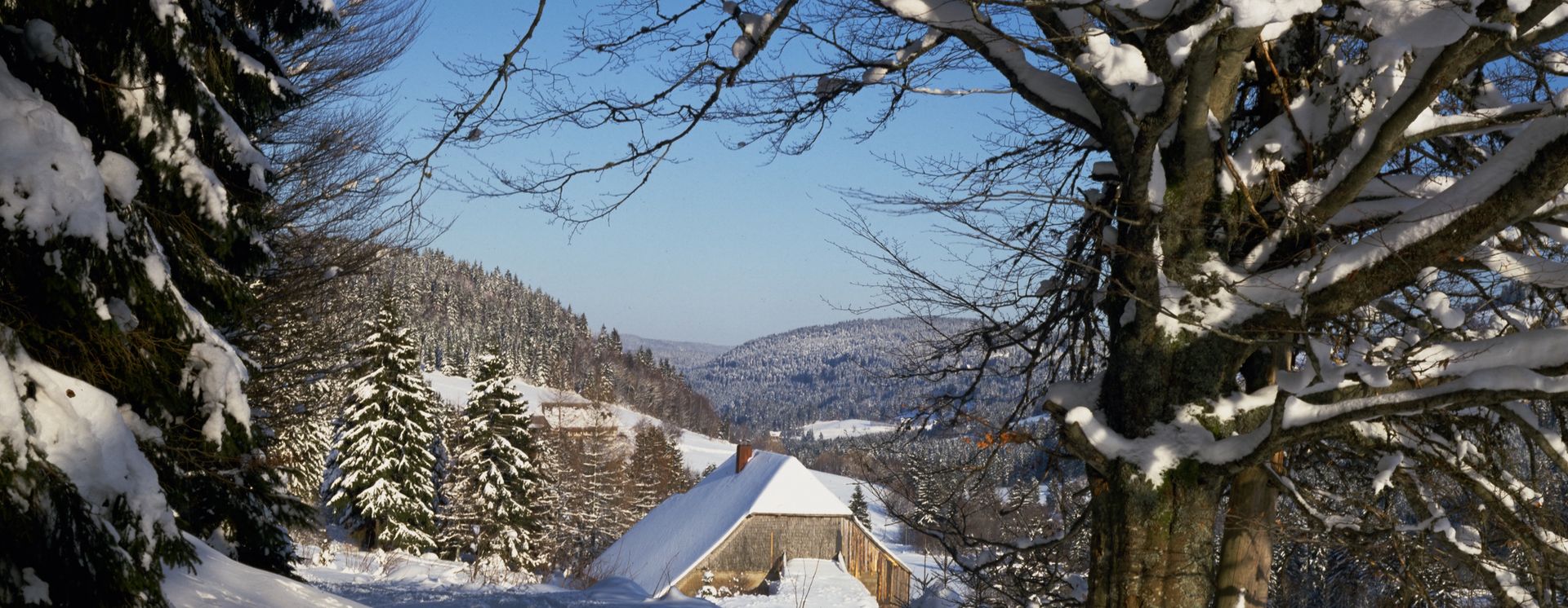 Winterlandschaft im Schwarzwald