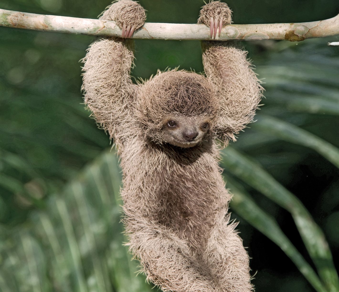 Welch liebenswertes Lächeln.