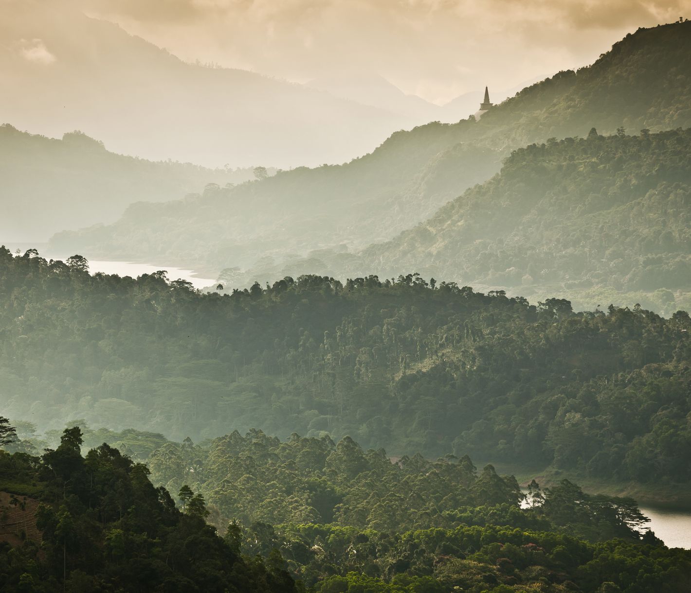 Grünes Hochland zwischen Kandy und Nuwara Eliya