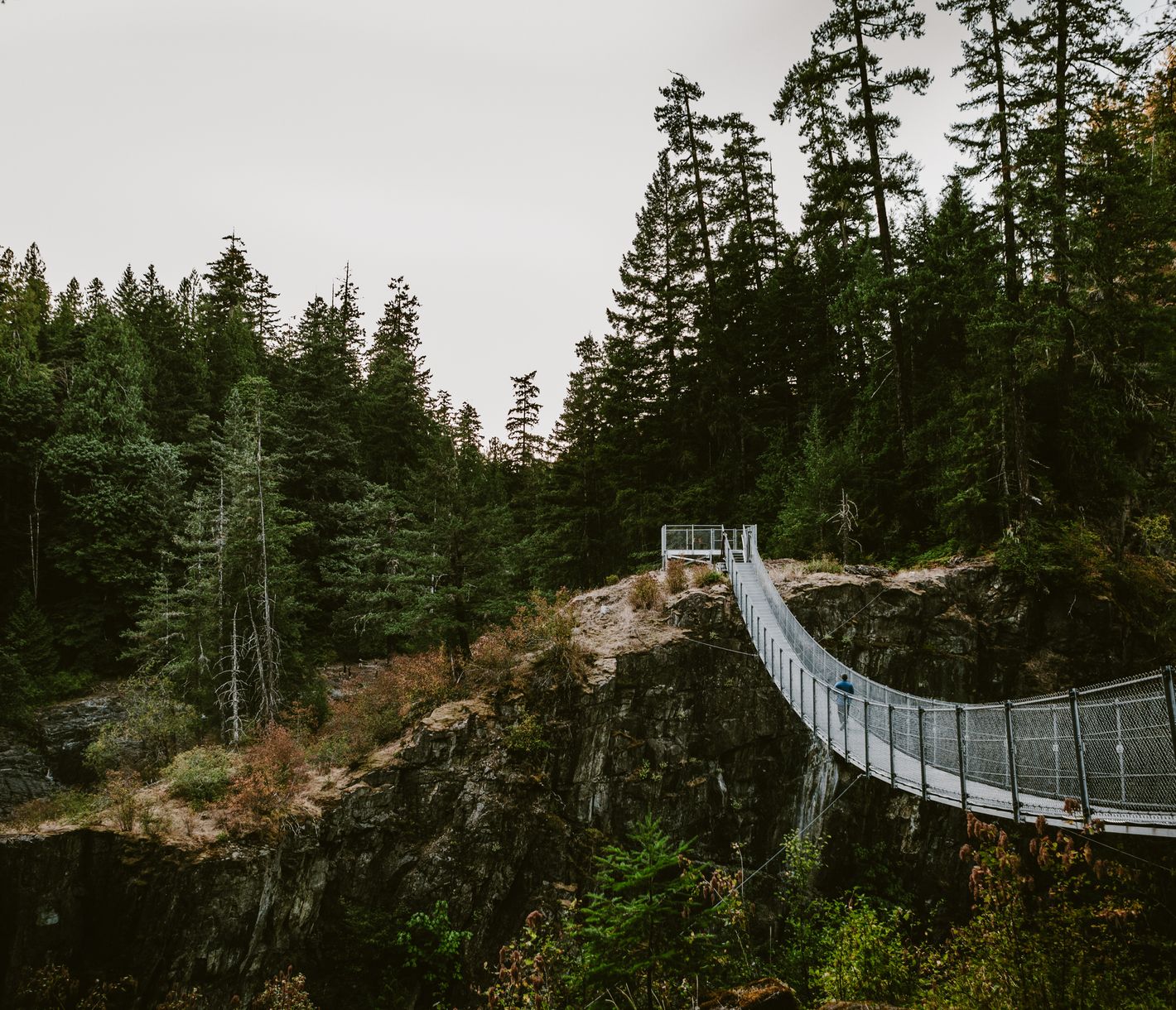 Der Elk Falls Provincial Park