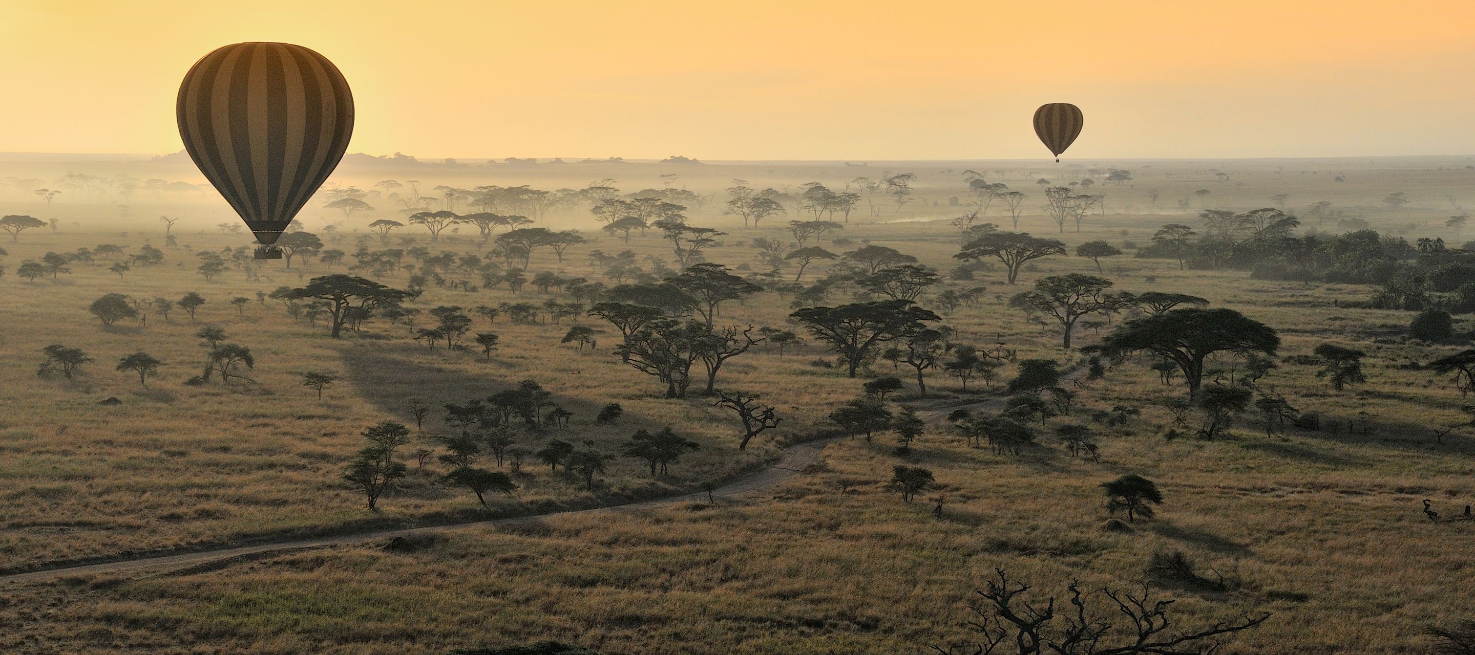 Morgendliche Ballonsafari über die Ebene der Serengeti