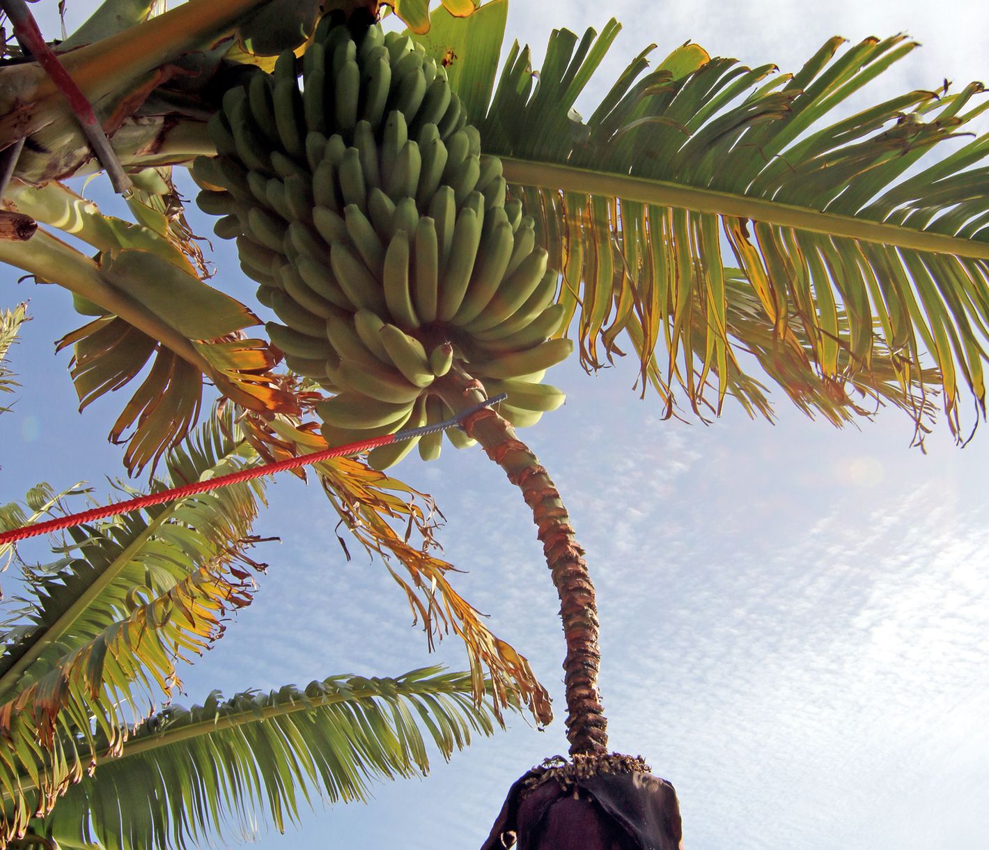 Wander-Verpflegung gefällig? Nichts einfacher als das!