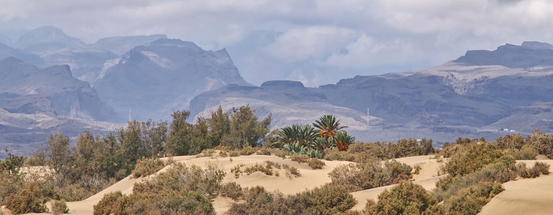 Kleines Naturschutzgebiet «La Charca»