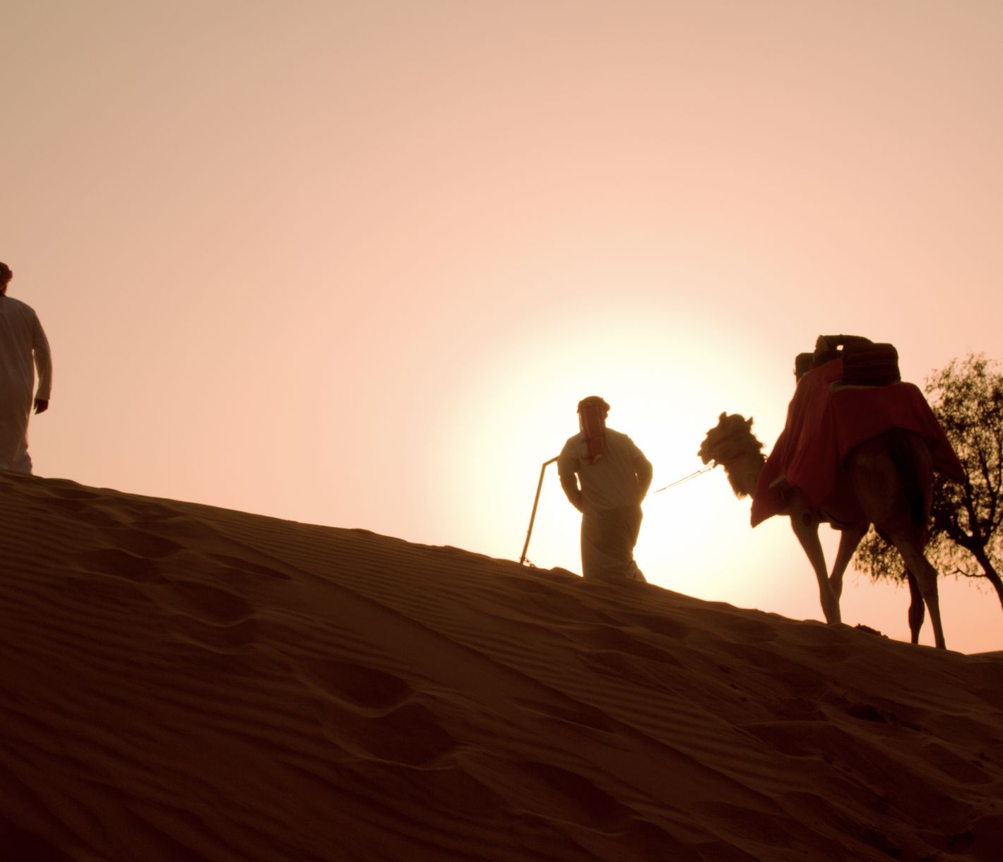 Kameltour durch die Al-Wadi-Wüste