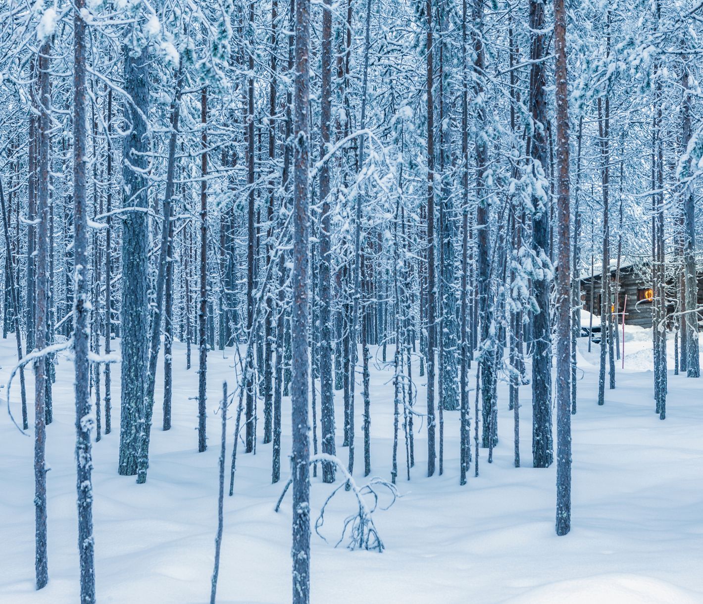 Un chalet confortable possédant son propre sauna et cheminée