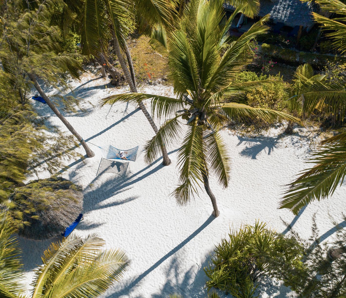 Entspannung garantiert in einer Hängematte an Sansibars Traumstränden
