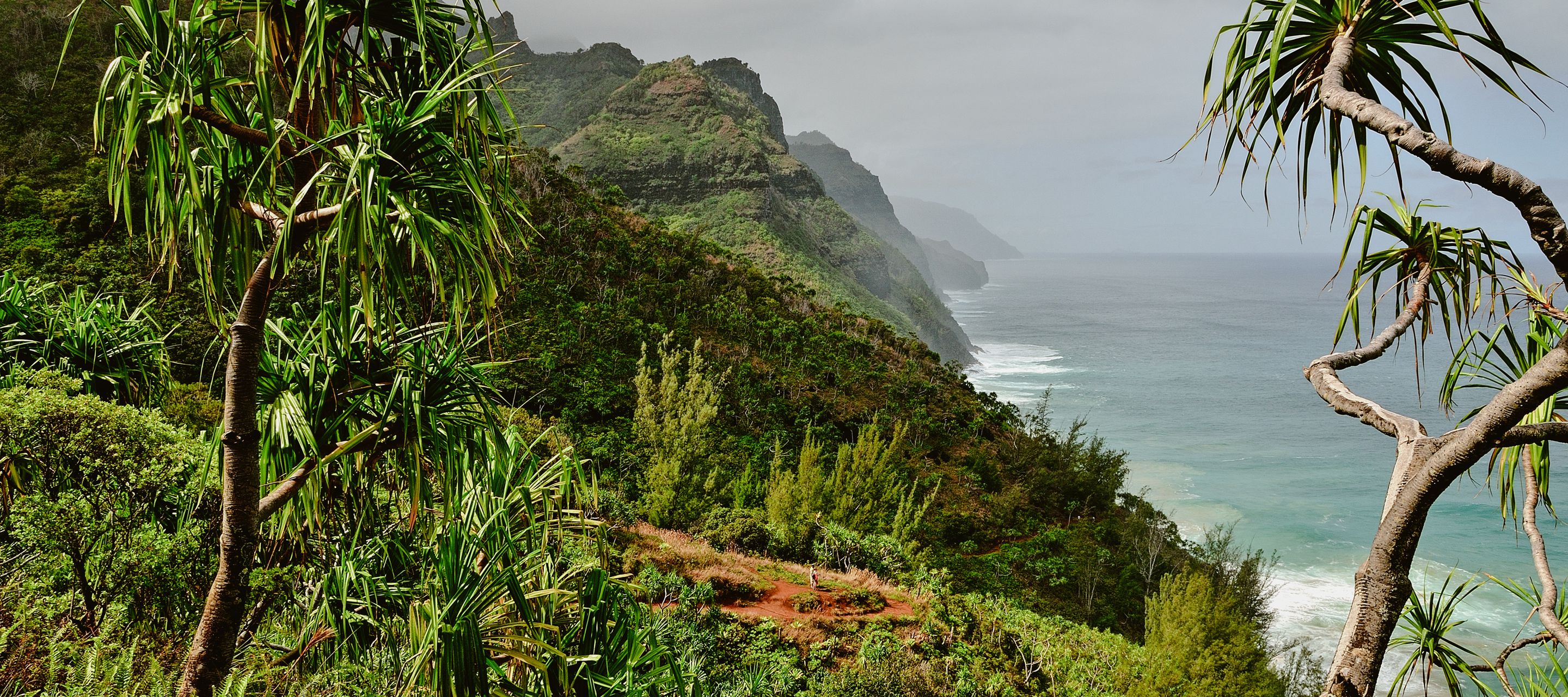 Die Wanderung entlang der Napali-Küste auf Kauai gehört zu den schönsten Touren auf Hawaii.