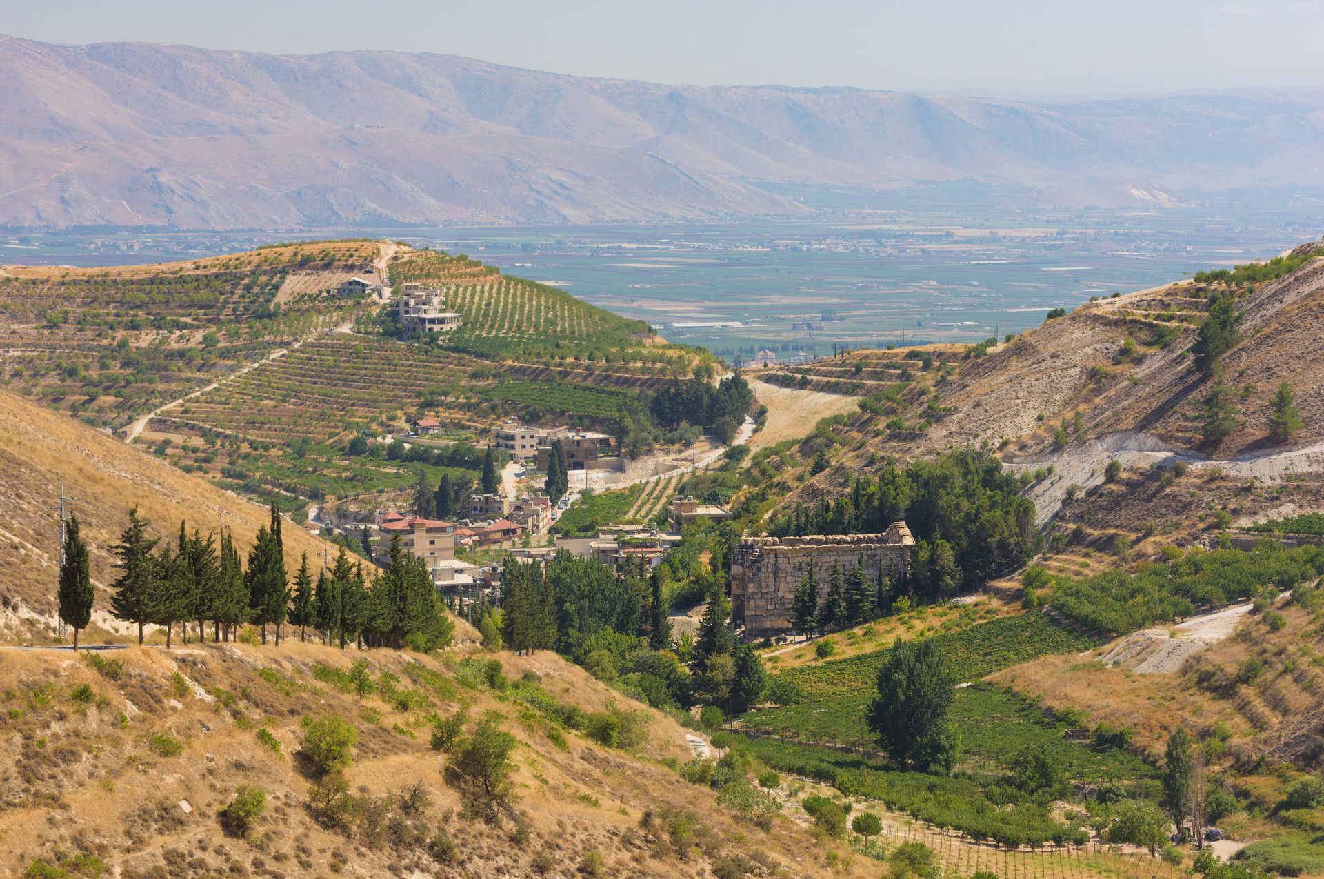 Temple de Niha et vignobles dans la plaine de Bekaa