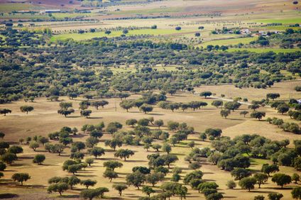 11. Bild der Unterkunft