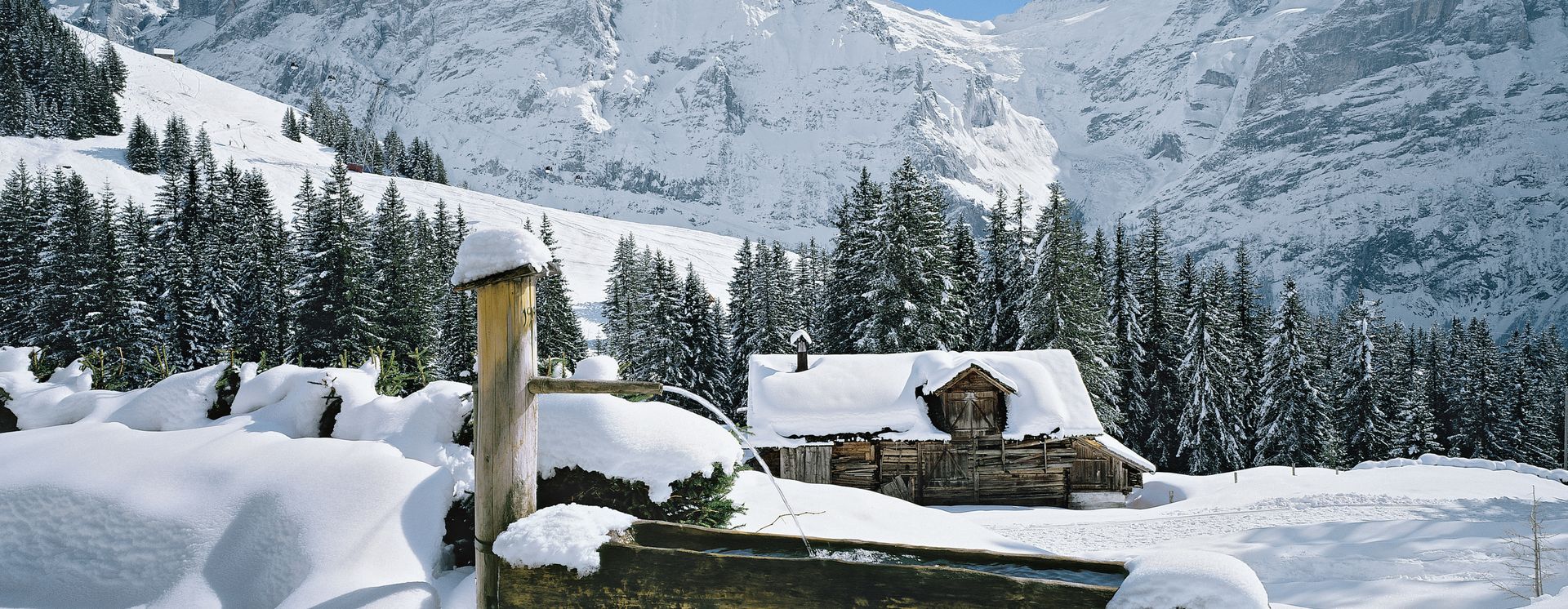 Wetterhorn im Winter