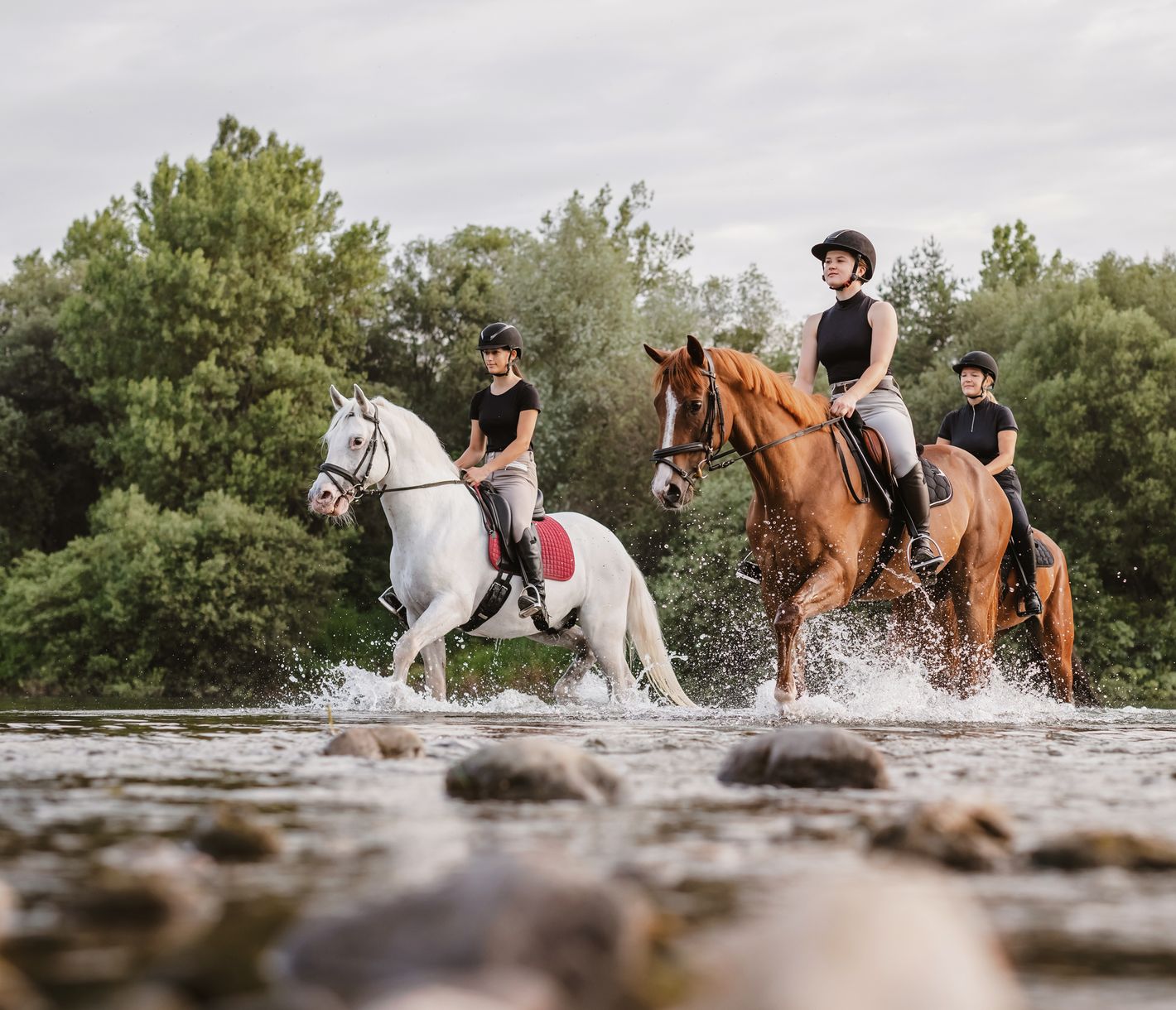 Ritt durch das Wasser