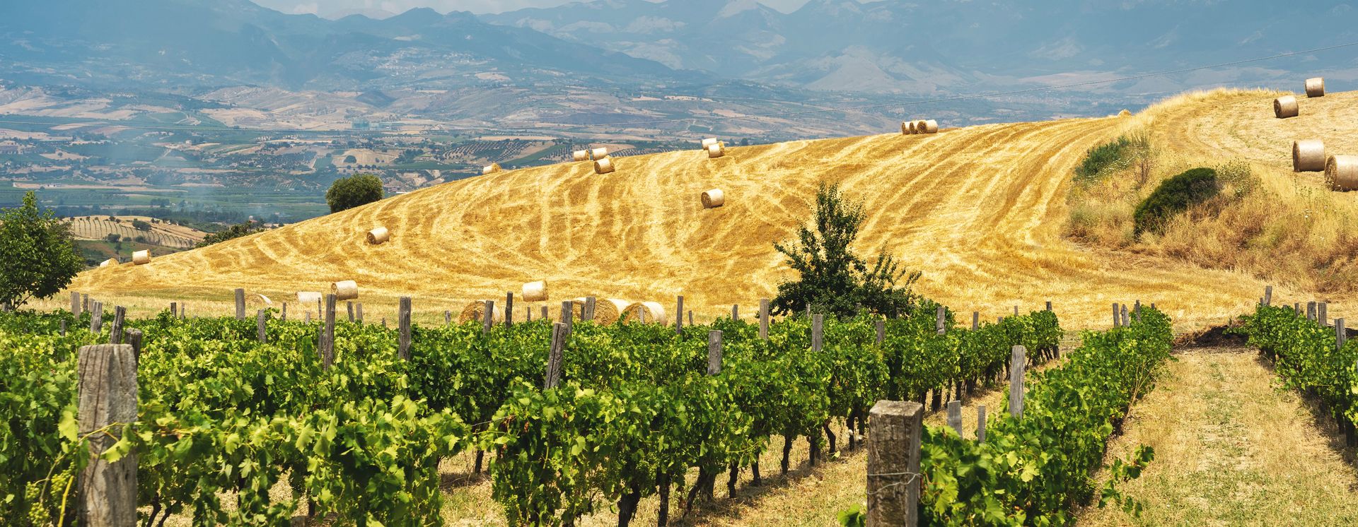 Ländliche Gegend um Cosenza