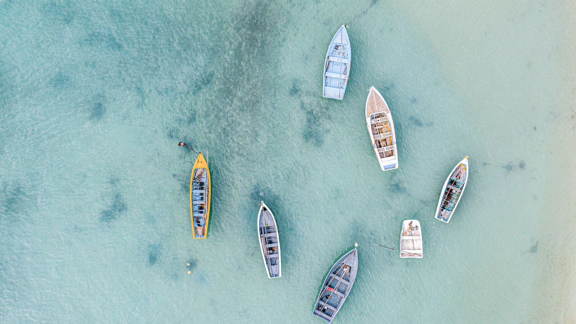 Bateaux de pêche colorés sur la mer au large de Mont Choisy.