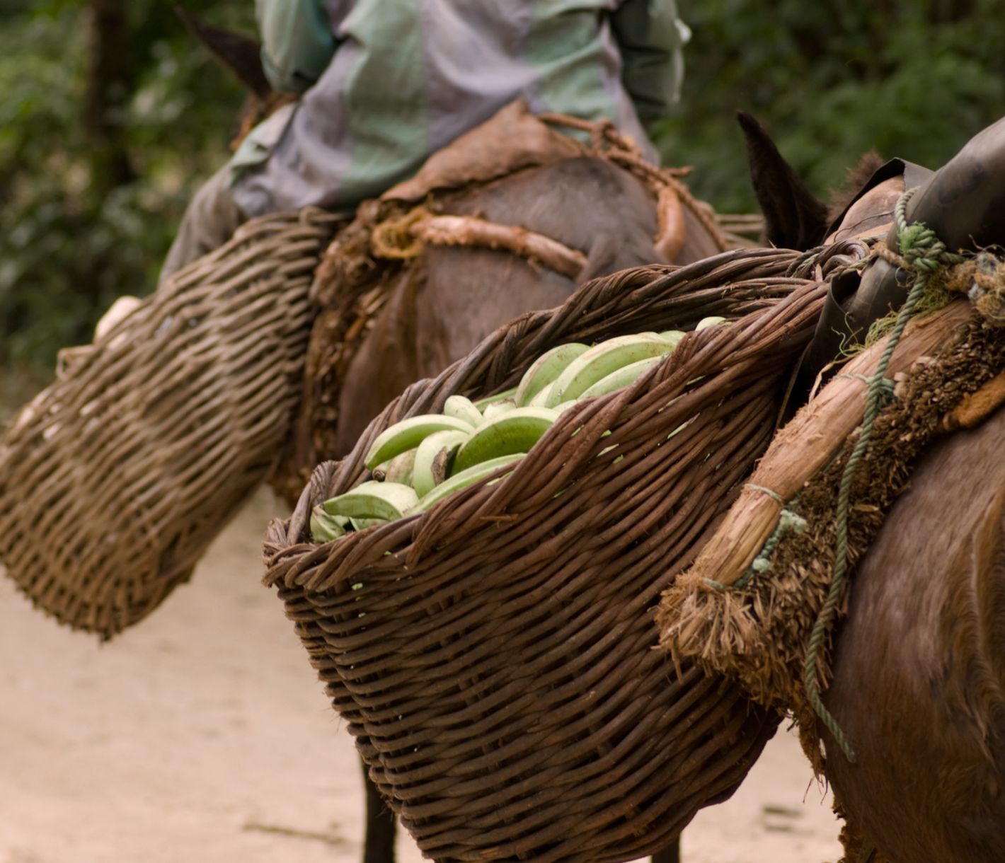 Einblick in die Landwirtschaft