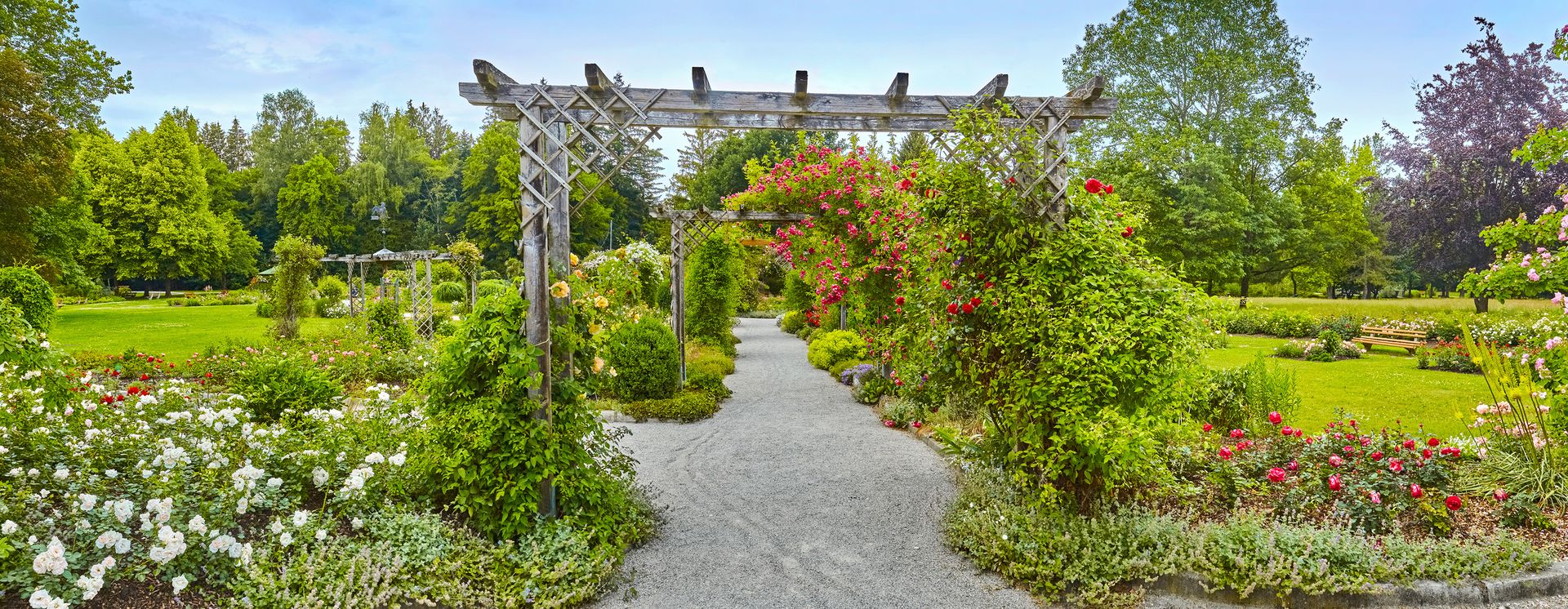 Rosengarten im Kurpark