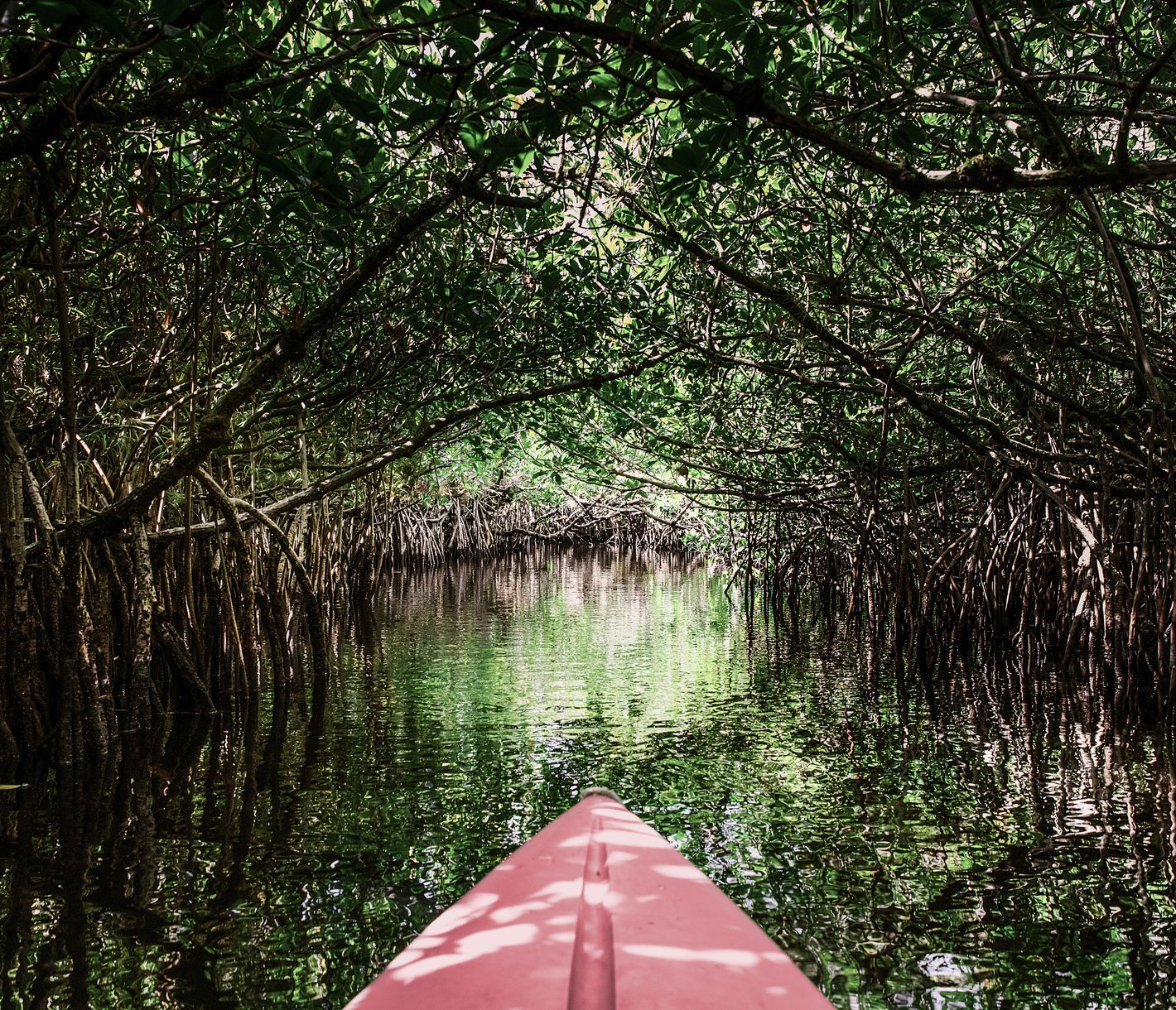 Kajaktour durch die Everglades