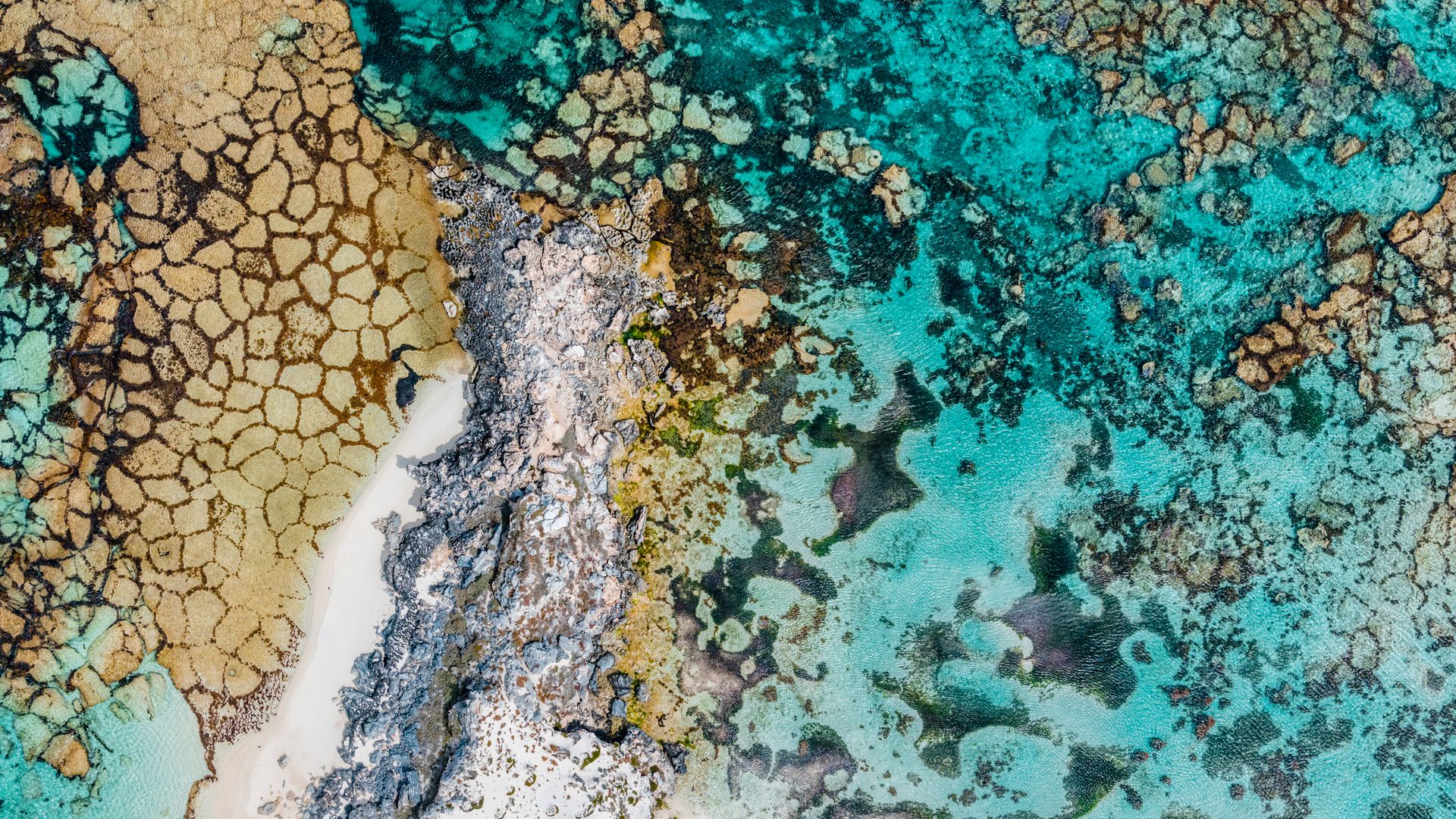 Eine einzigartige Insel