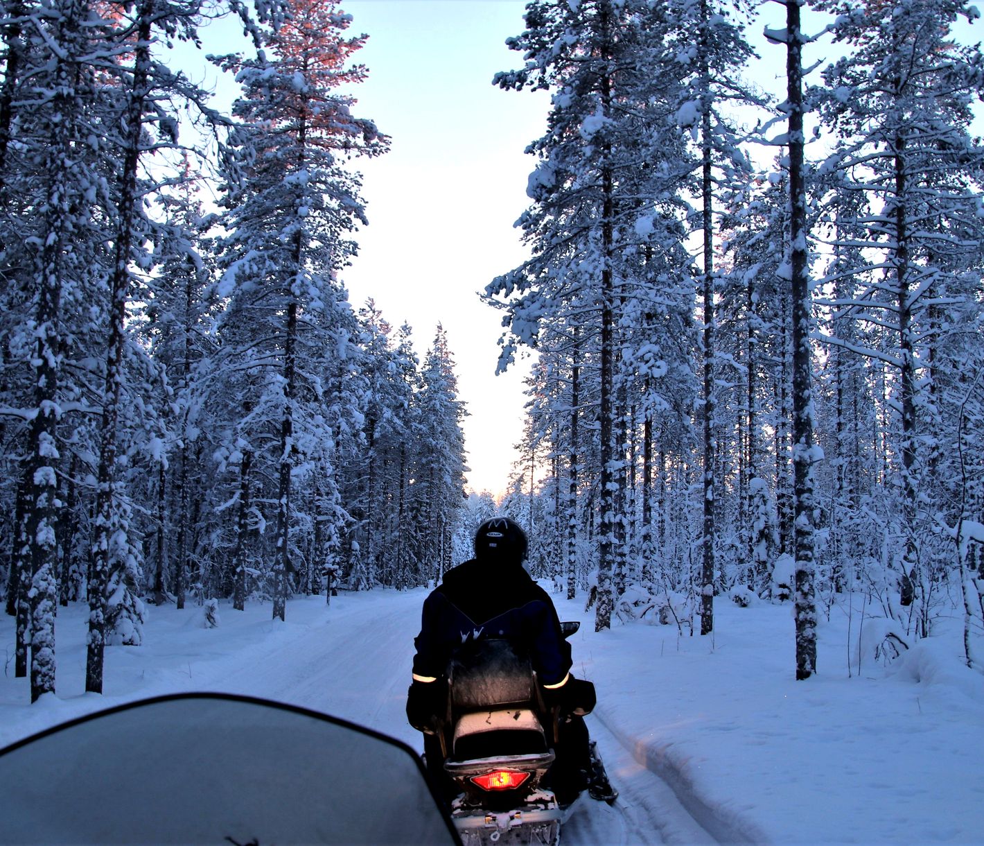 Mit noch mehr Geschwindigkeit durch den Schnee auf der Jagd nach den Nordlichtern
