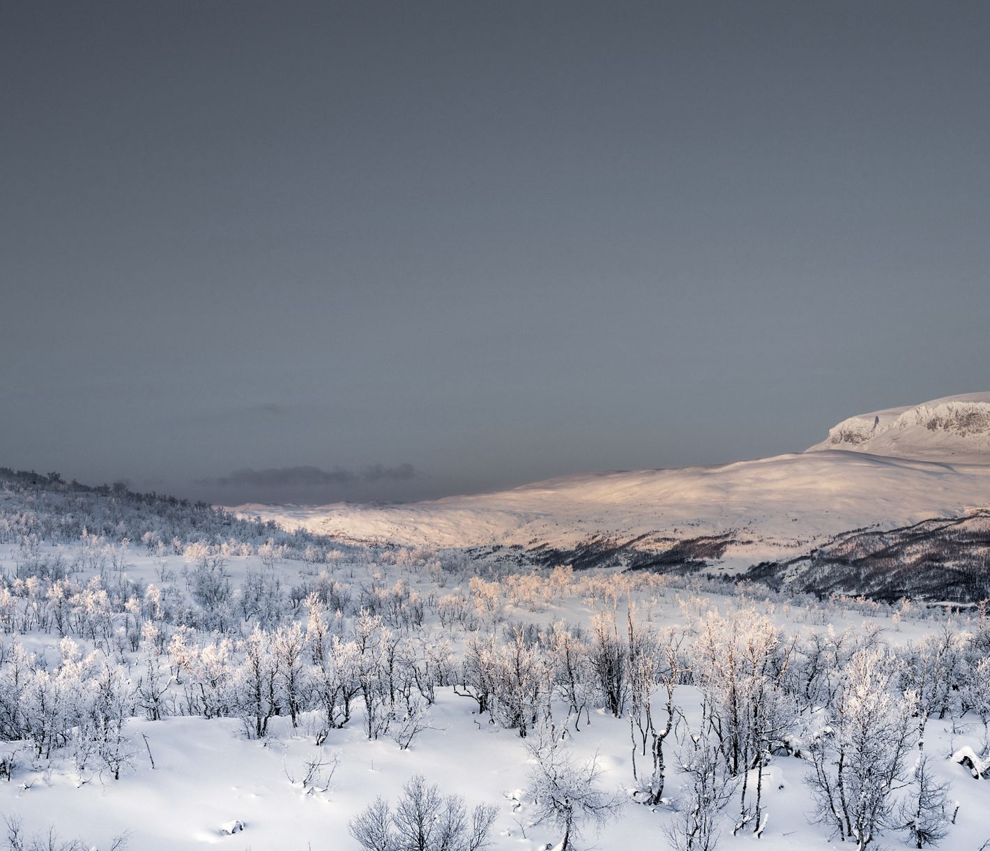Aube glaciale dans le parc national de Hallingskarvet