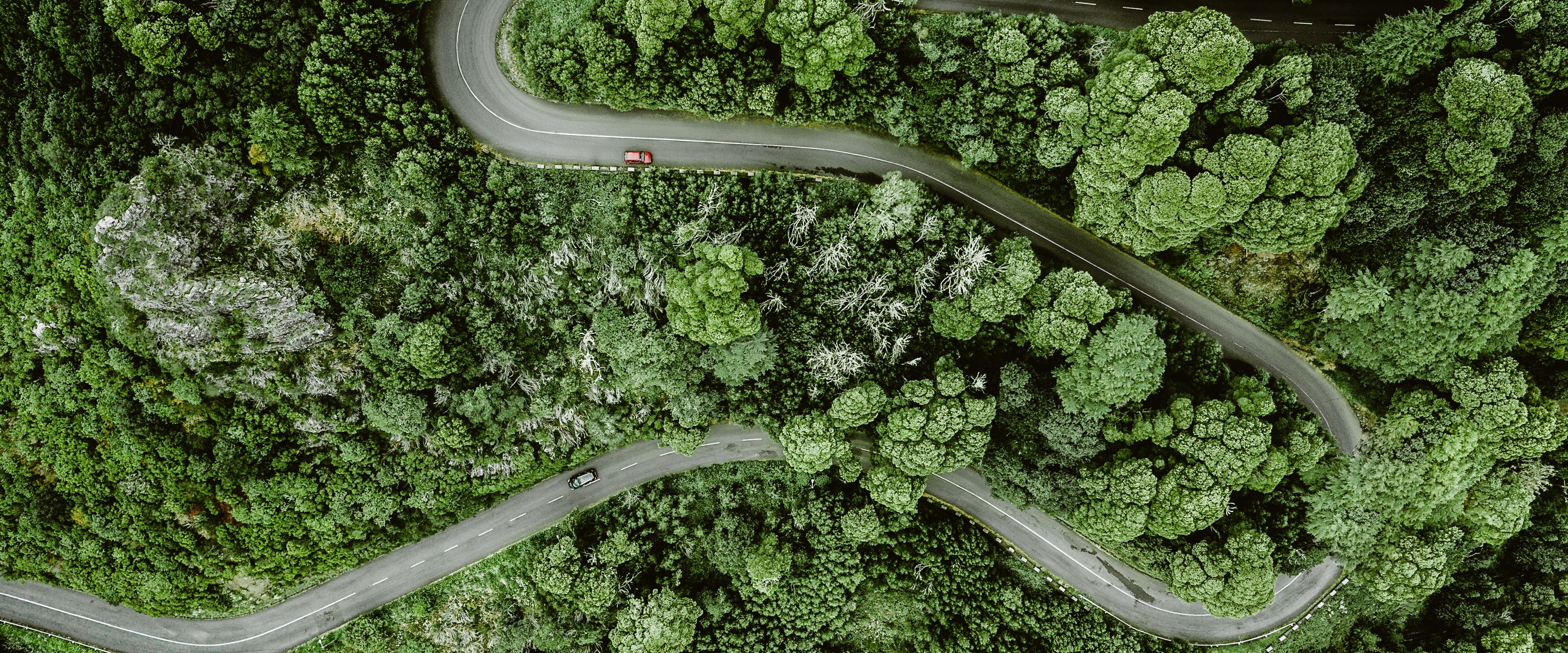 Durch die üppige Landschaft Madeiras kurven