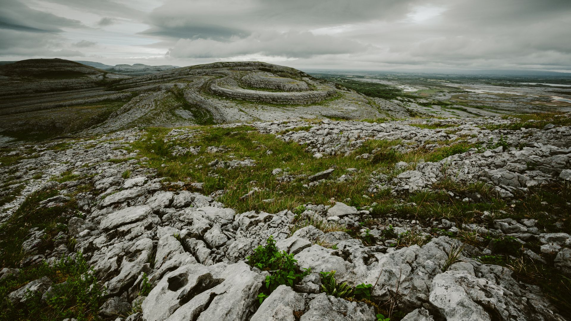 Mondlandschaft oder Mini-Biotop?