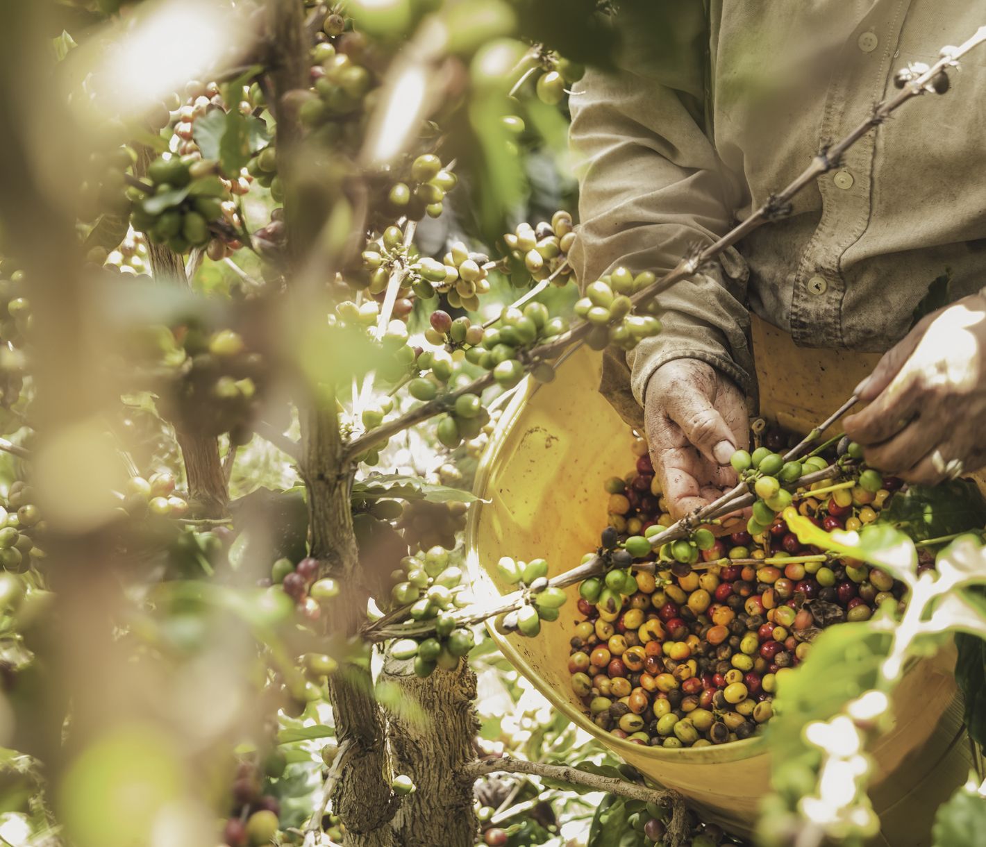 Die subtile Kunst der Kaffeezubereitung - ein Nationalstolz!
