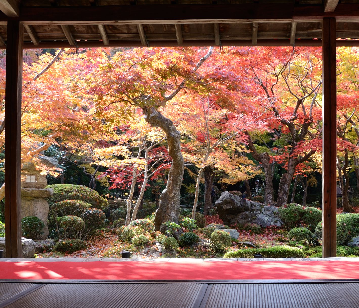 Herbstlicher Garten in Kyoto