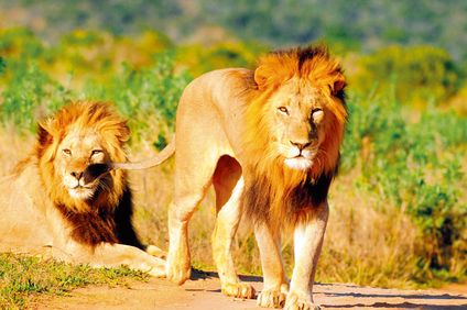 2. Bild der Rundreise