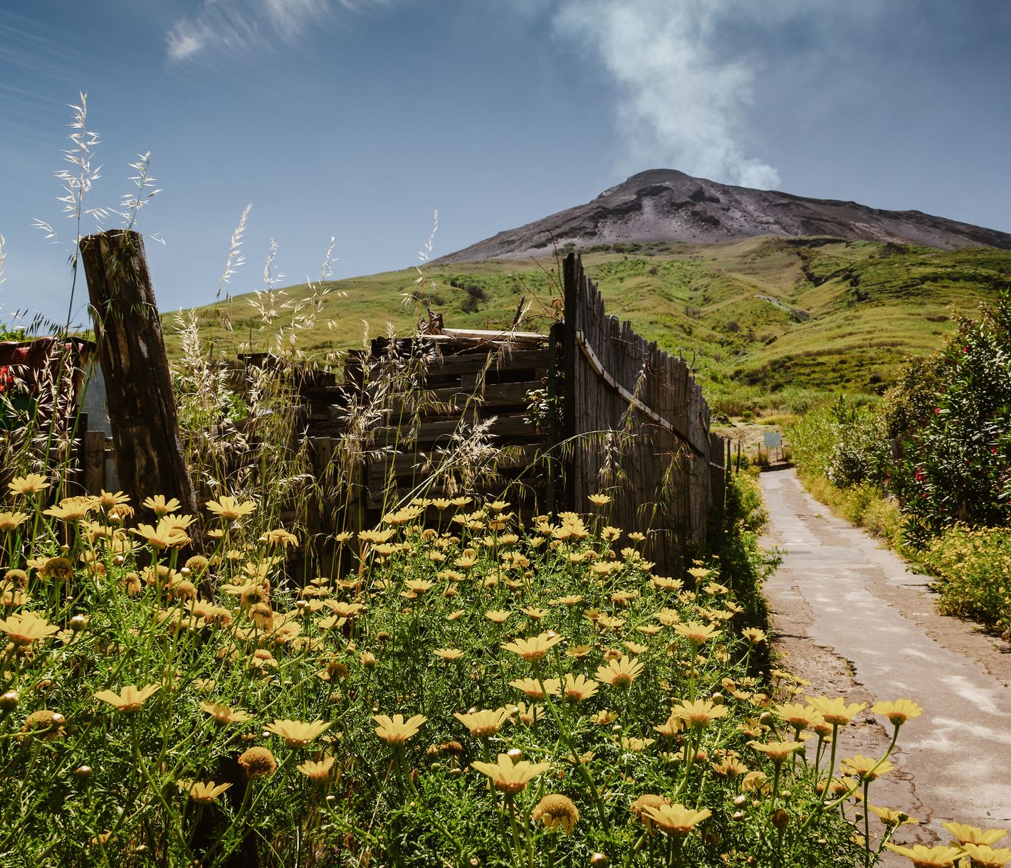 Die grüne Seite des Stromboli