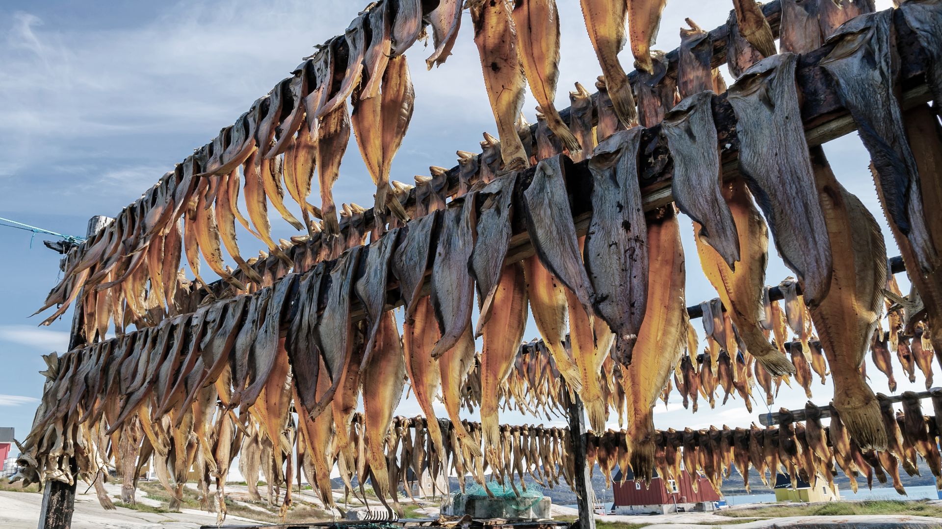 Die Trocknung der Fische wird seit der Antike praktiziert.