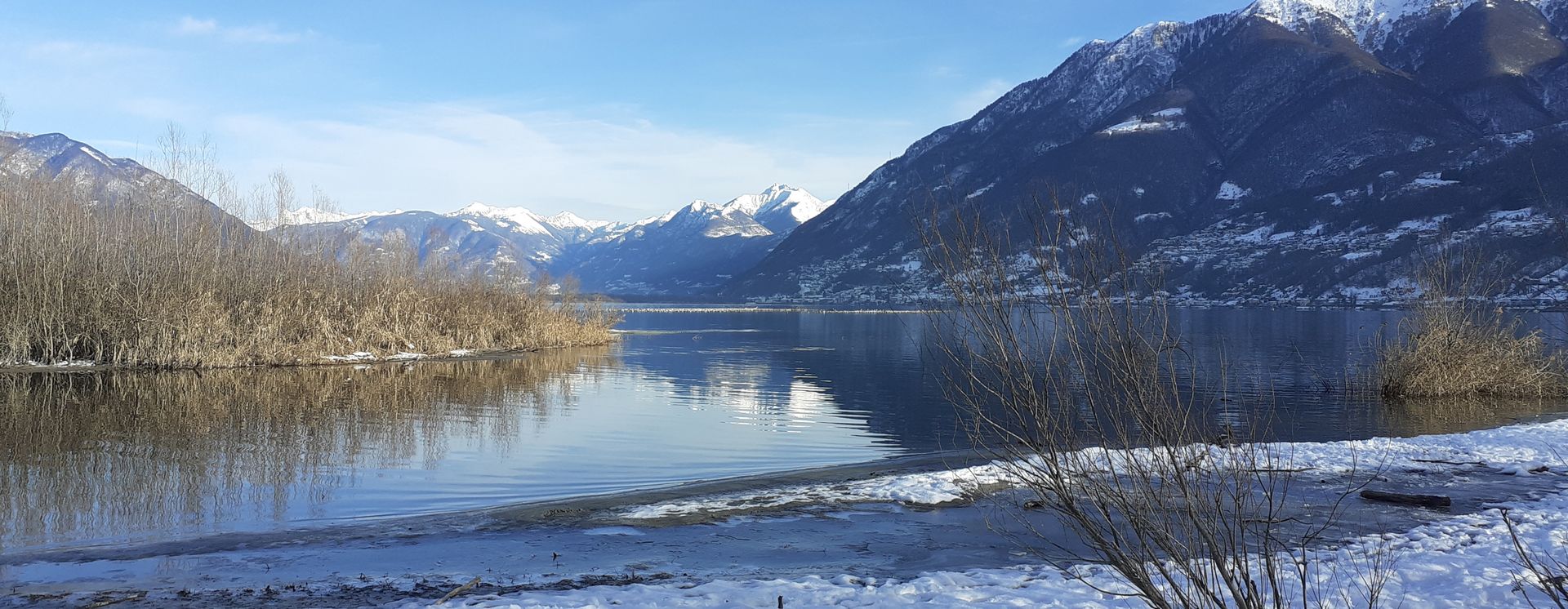Winter am Lago Maggiore in Ascona