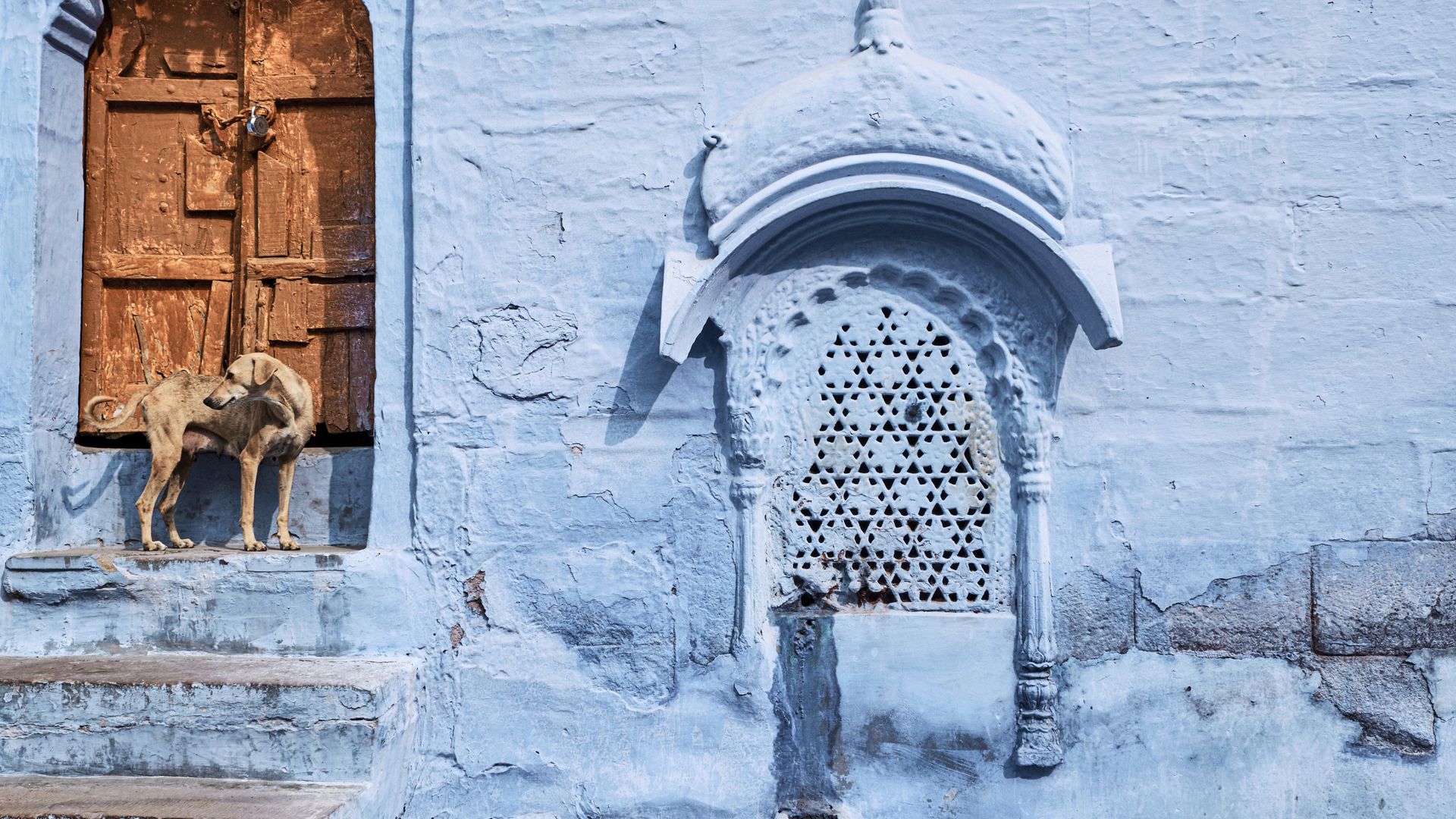 Die «Blaue Stadt» Jodhpur mit ihren bemalten Häusern