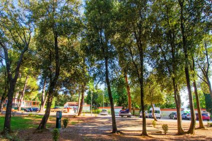 5. Bild der Unterkunft