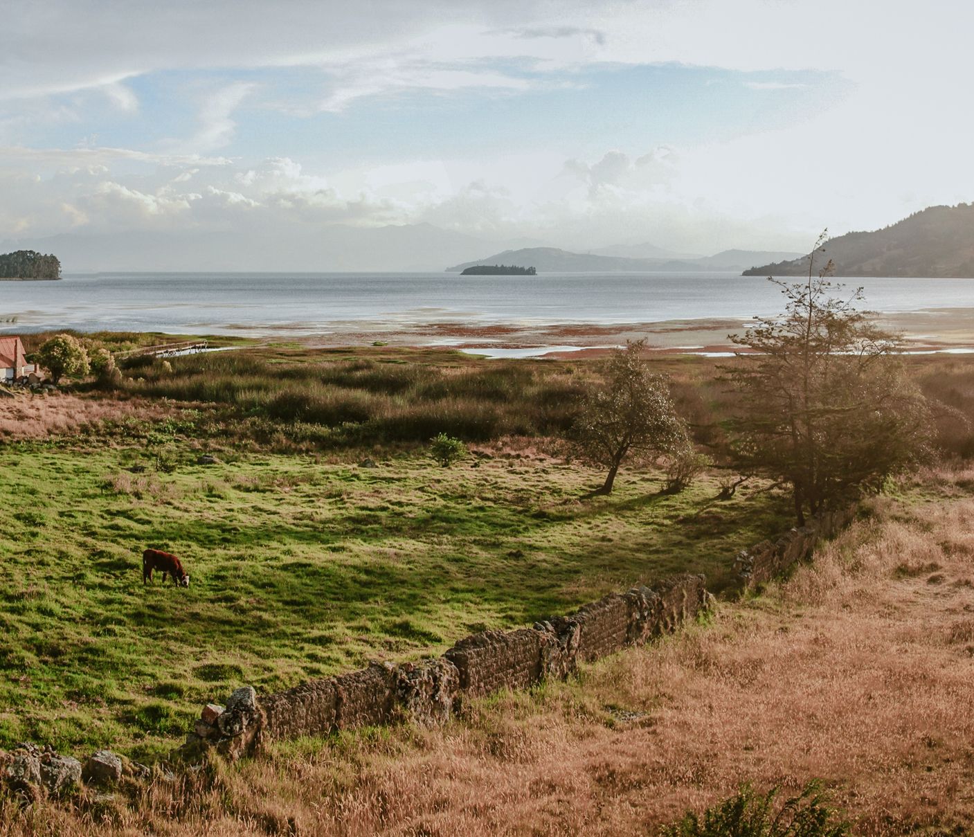 Natur pur in den Anden bei der Laguna de Tota