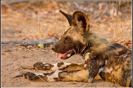 2. Bild der Rundreise