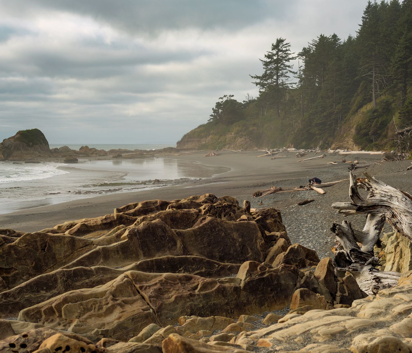 Am Kalaloch Beach ist die wilde, wundersame Schönheit der Küste des Olympic National Parks zu spüren.