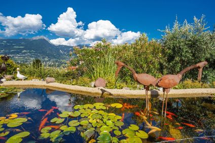 12. Bild der Unterkunft