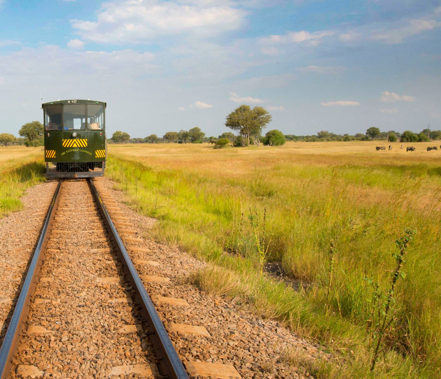 Elephant Express im Hwange-Nationalpark