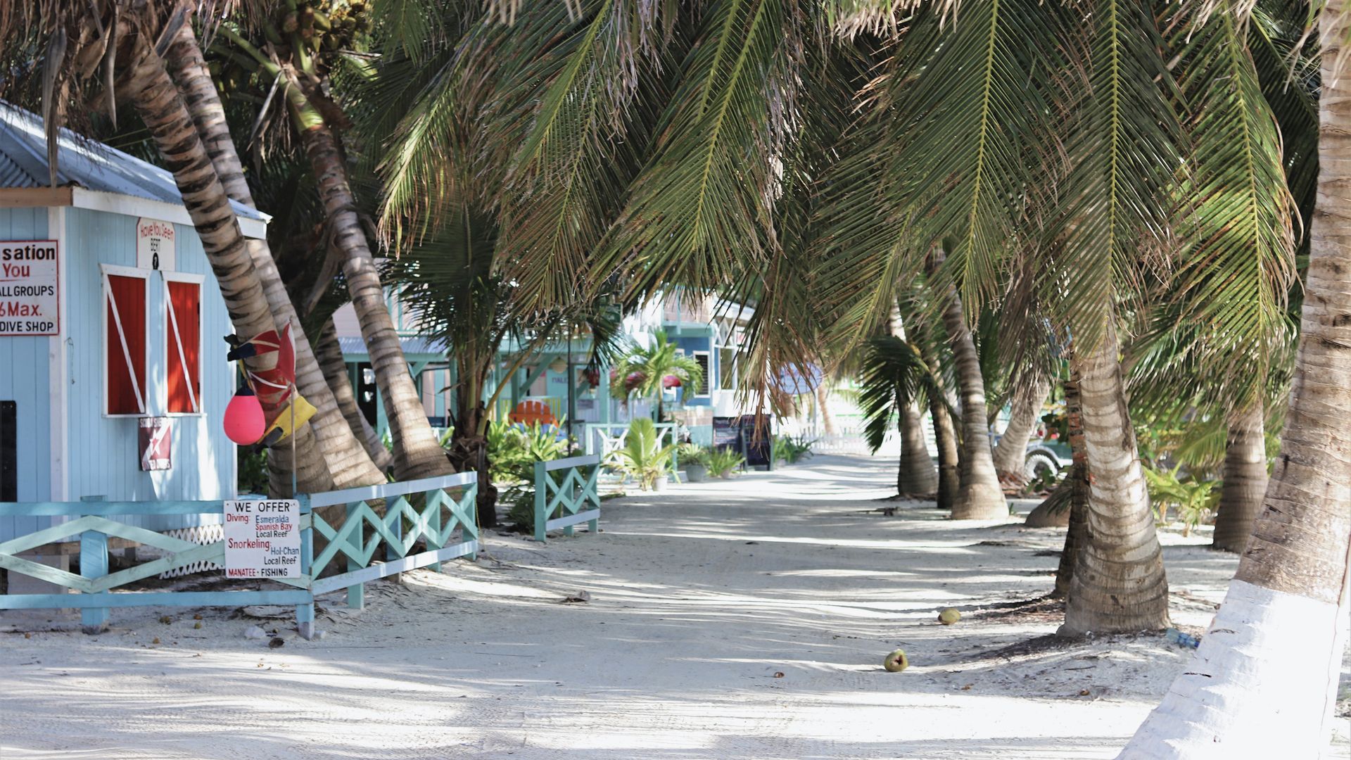 Fisch mit Kokosnuss-Reis im Schatten einer Palme kosten