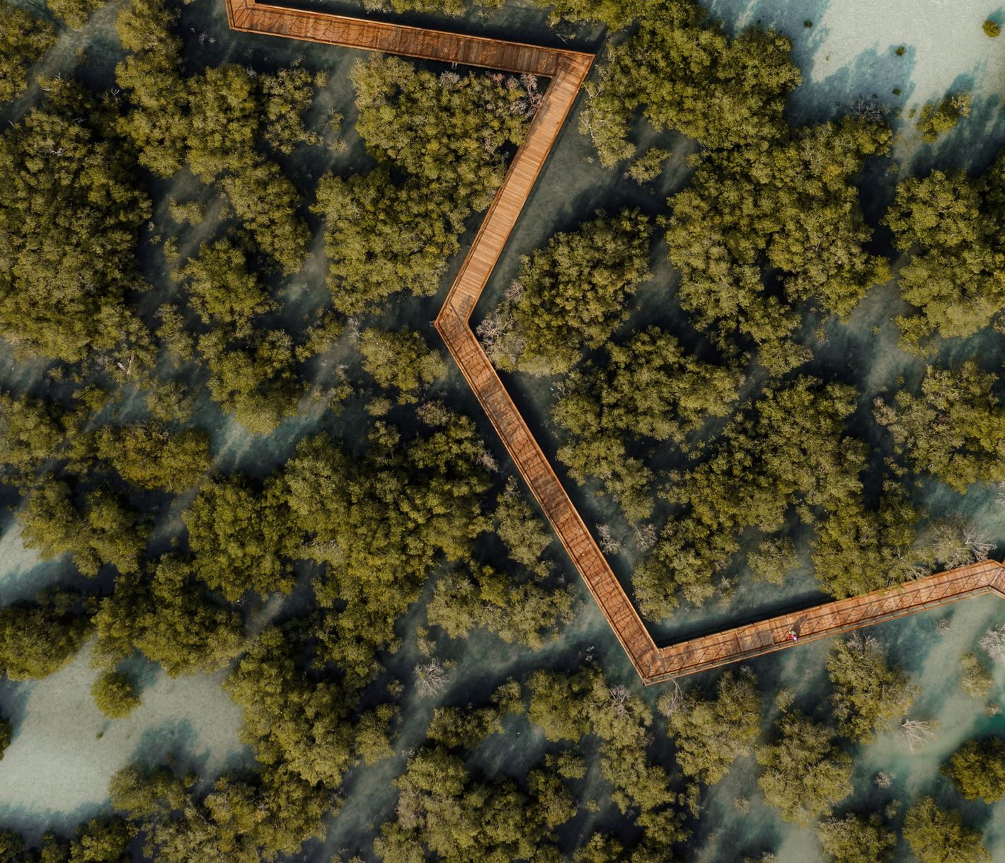 Jubail Mangrove Park – Natur pur im Herz von Abu Dhabi