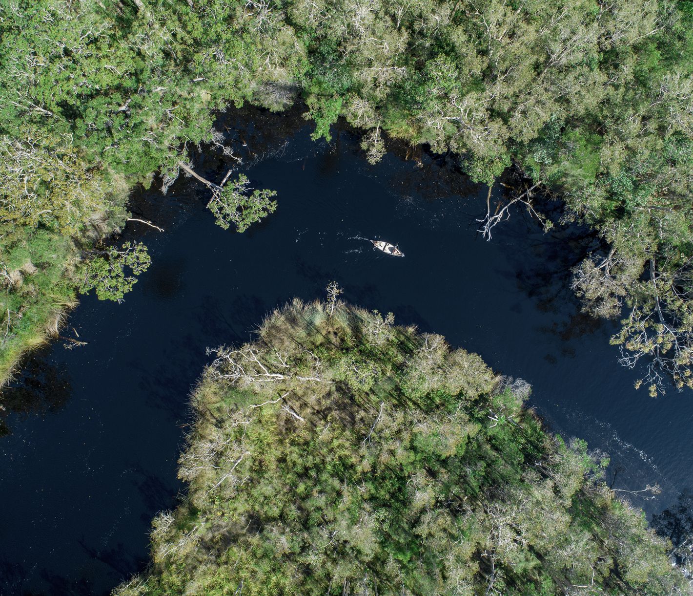 Wir sind hier nicht in Florida...