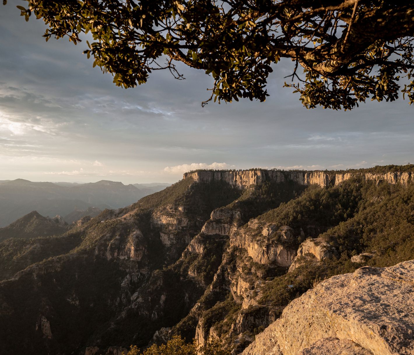 Las Barrancas del Cobre