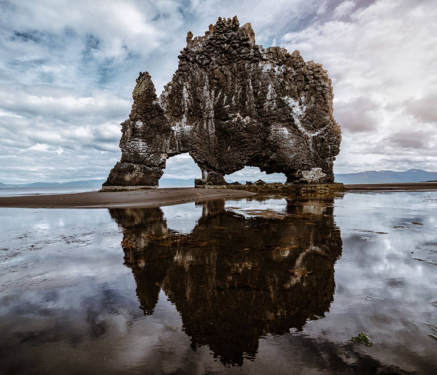 Das trinkende Troll-Nashorn