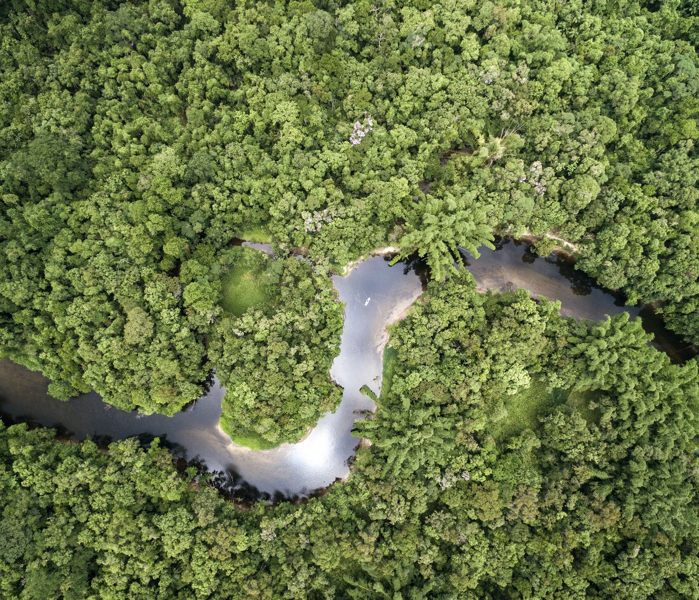 Der Amazonas: das grösste Flusssystem der Welt
