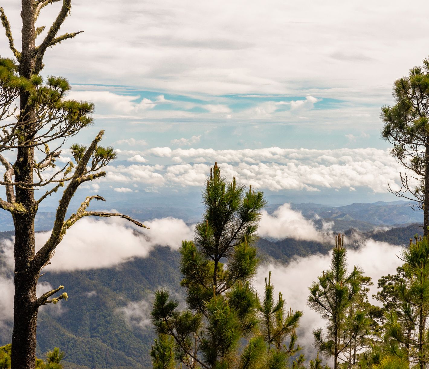 Pico Duarte – der Kontrast zum Strand